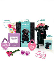 Mother's Day Black Lab Pop-Up Card