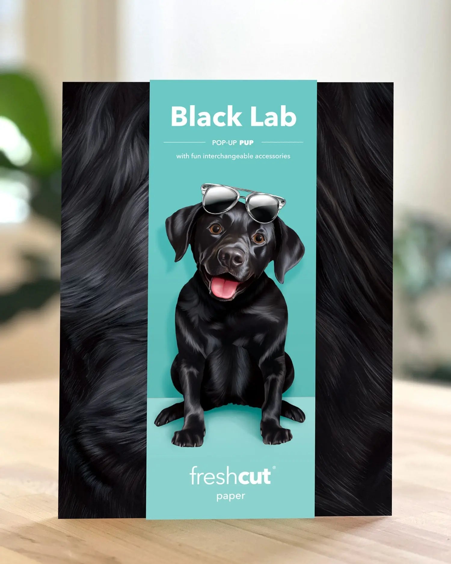 Black Lab Pop-Up Card
