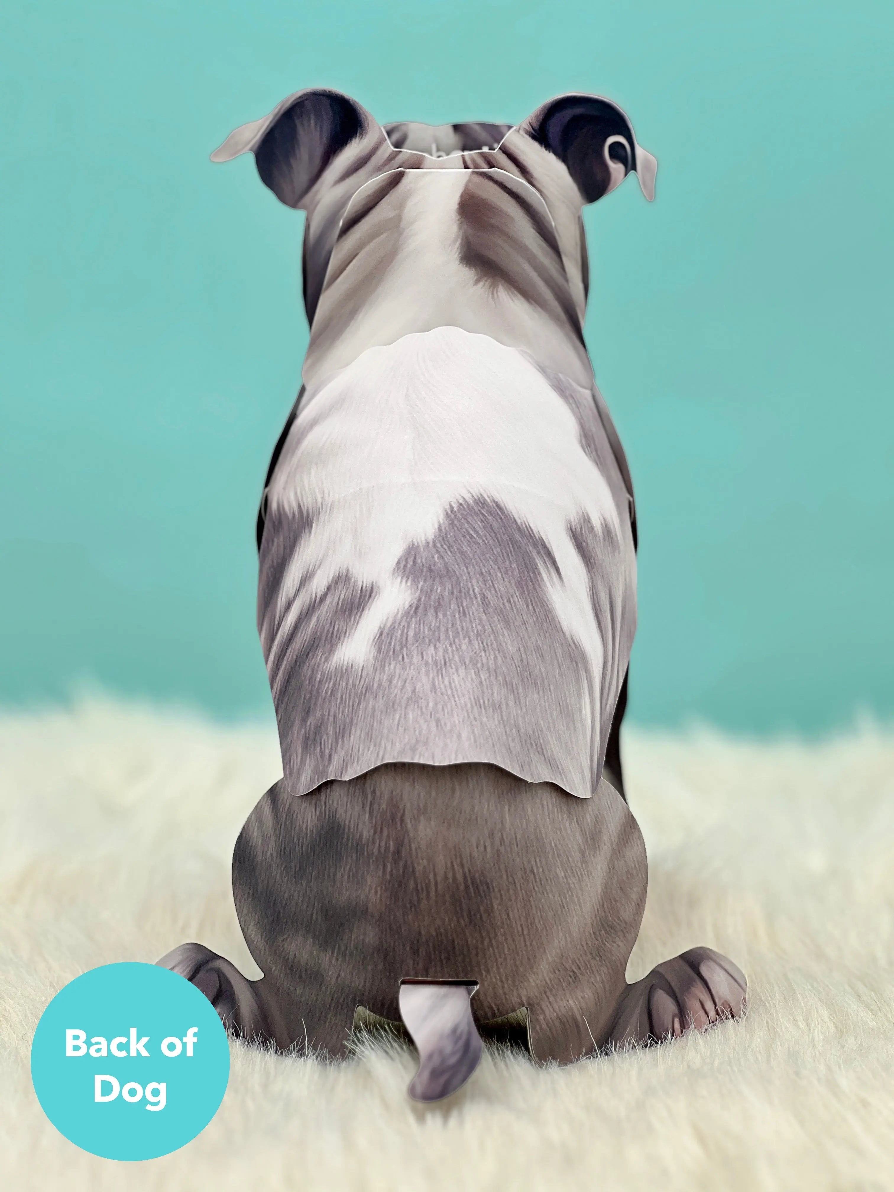Pit Bull Pop-Up Card