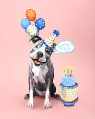 Birthday Pit Bull Pop-Up Card
