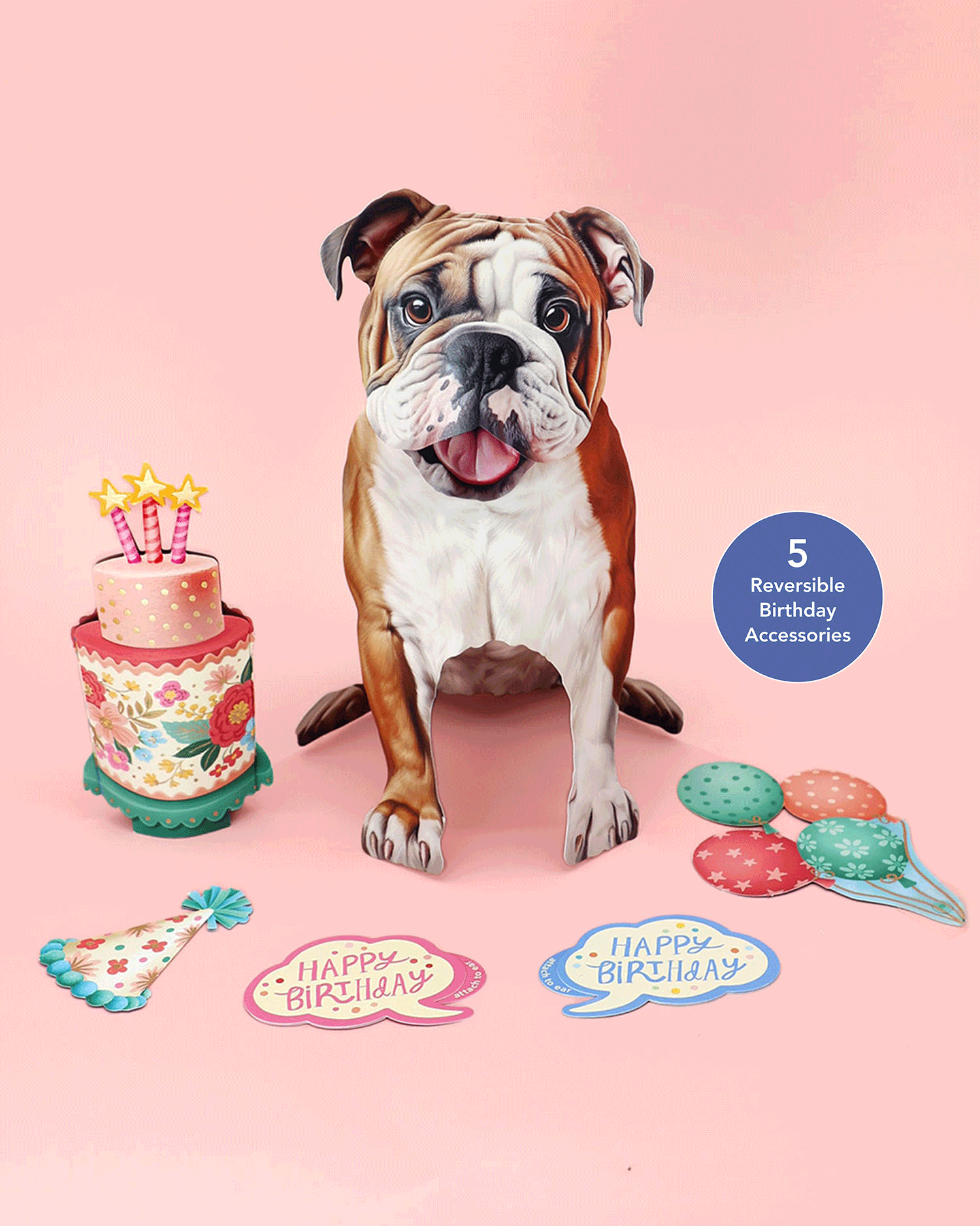 Birthday English Bulldog Pop-Up Card