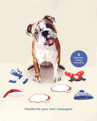 Holiday English Bulldog Pop-Up Card
