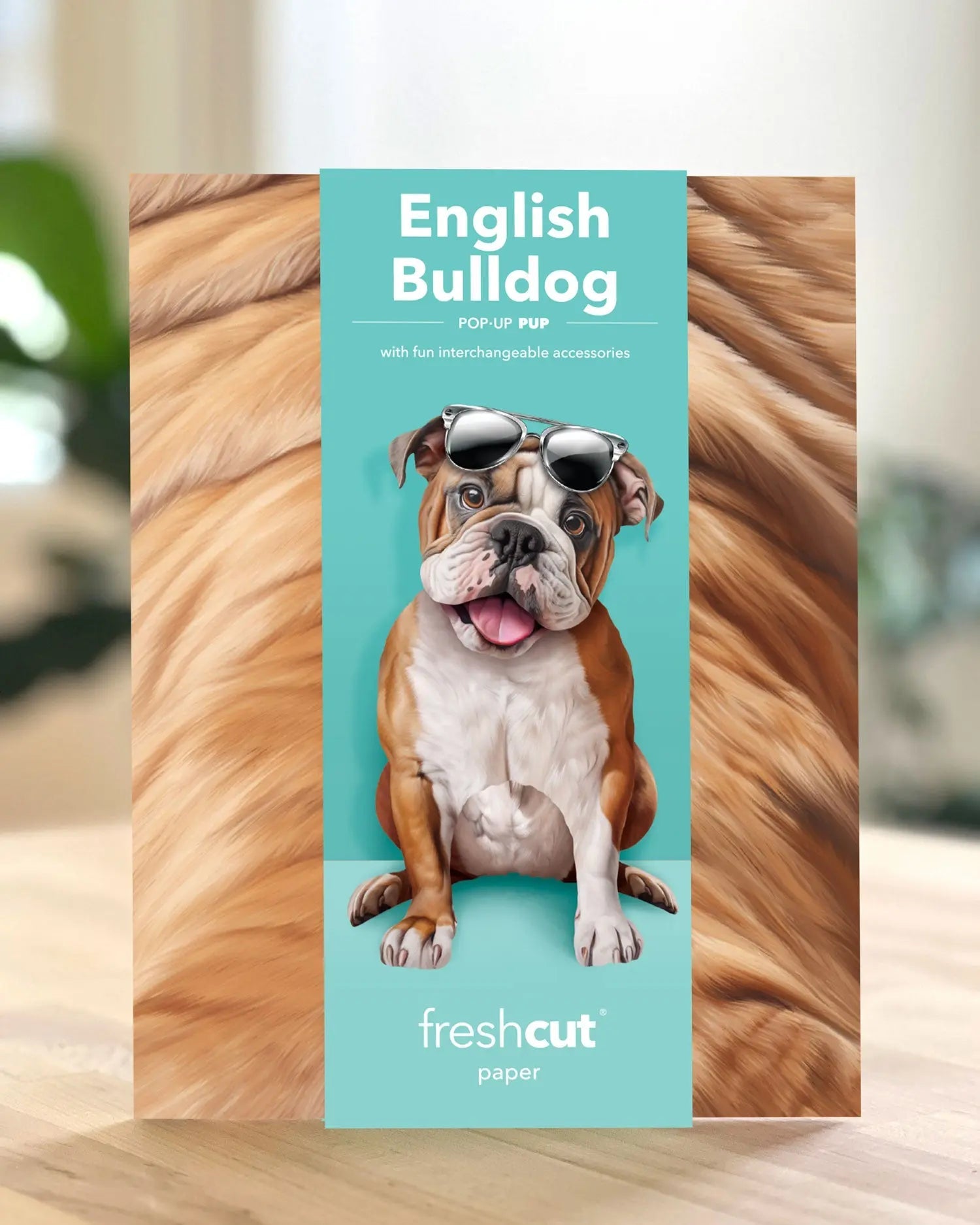 English Bulldog Pop-Up Card