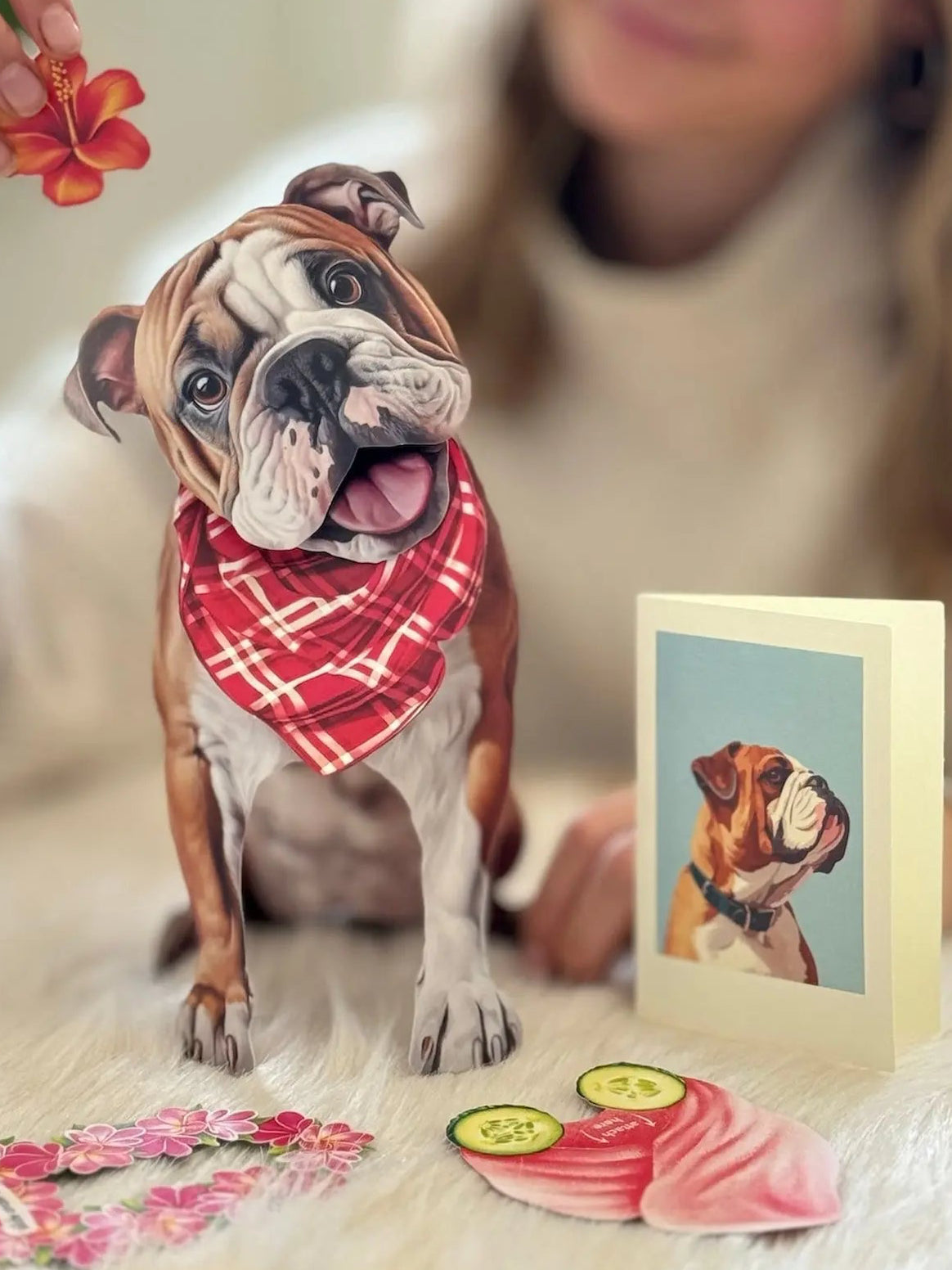 English Bulldog Pop-Up Card