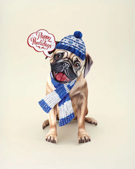 Holiday Pug Pop-Up Card