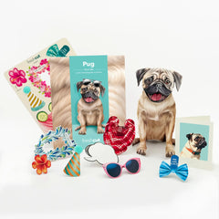 Pug Pop-Up Card