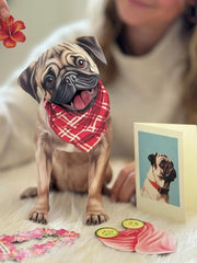 Pug Pop-Up Card