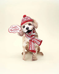 Holiday Poodle Pop-Up Card