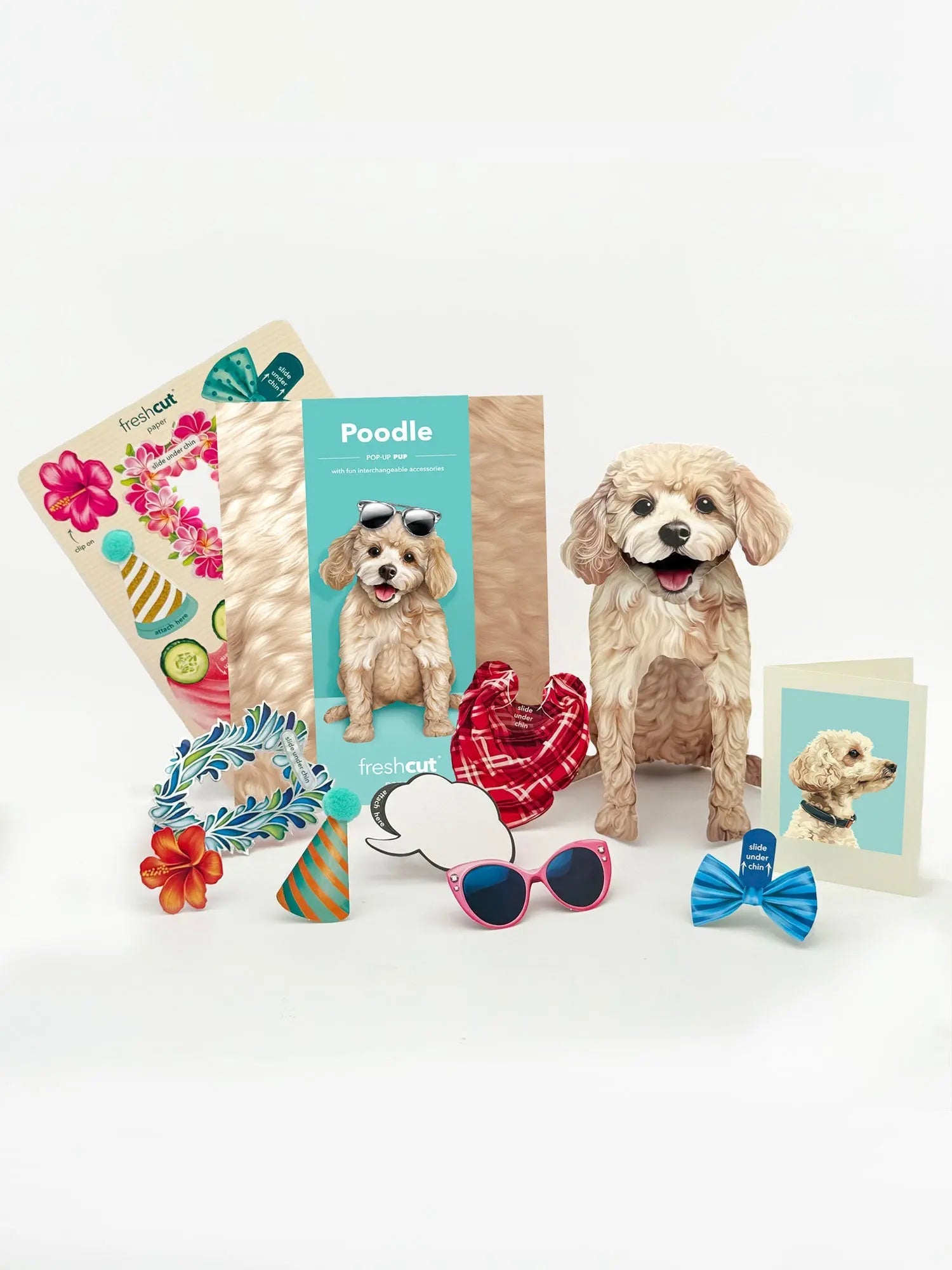 Poodle Pop-Up Card