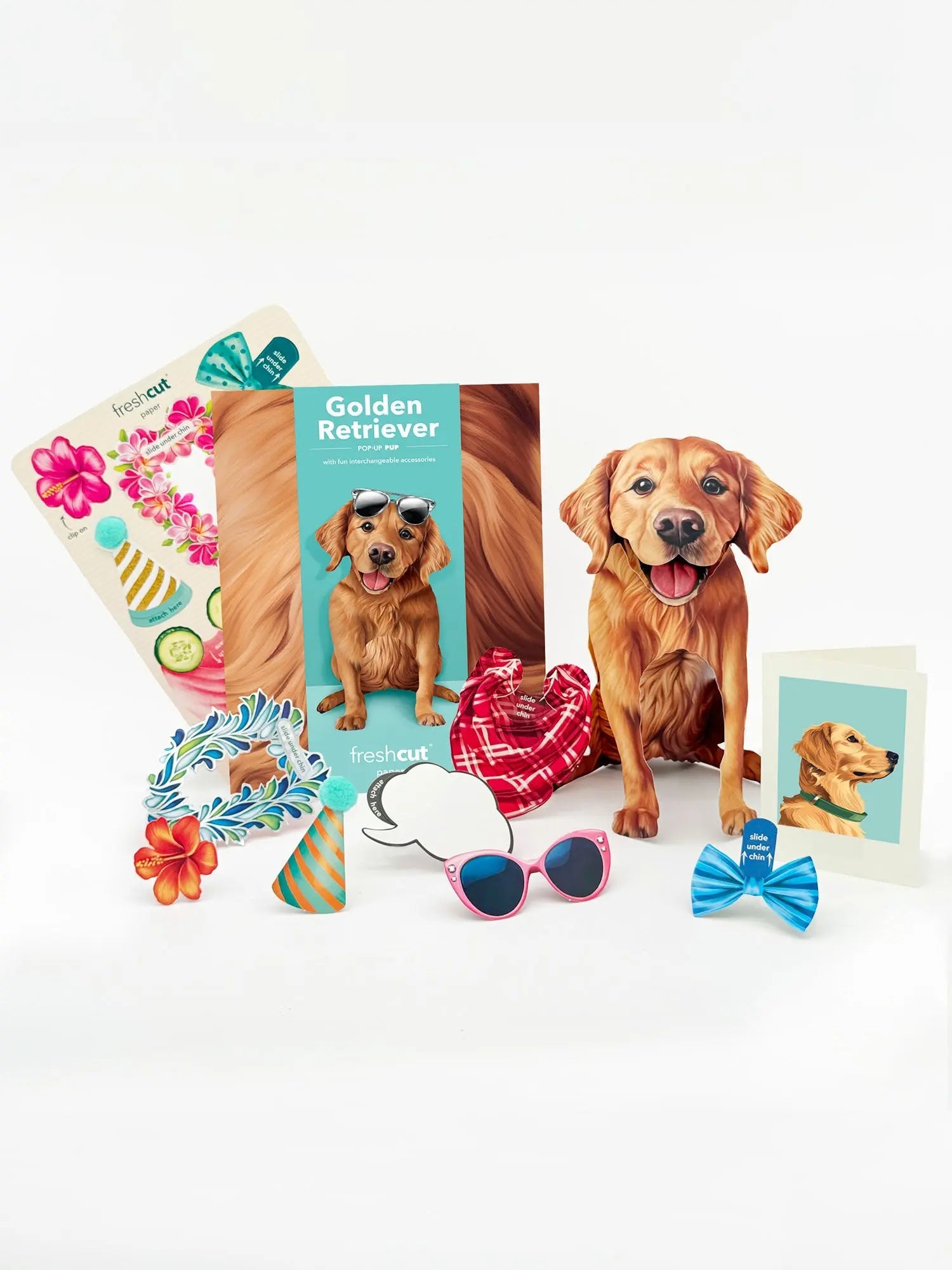 Golden Retriever Pop-Up Card
