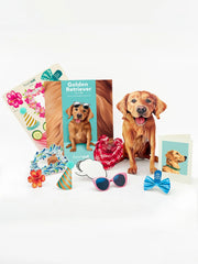 Golden Retriever Pop-Up Card
