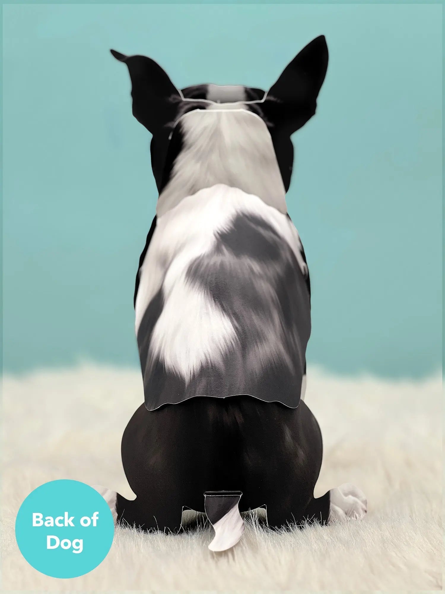 Boston Terrier Pop-Up Card