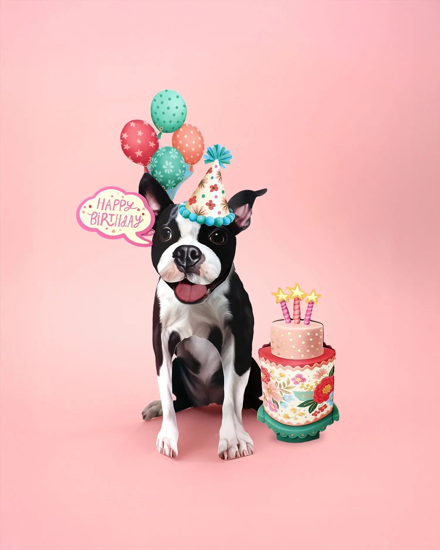 Birthday Boston Terrier Pop-Up Card