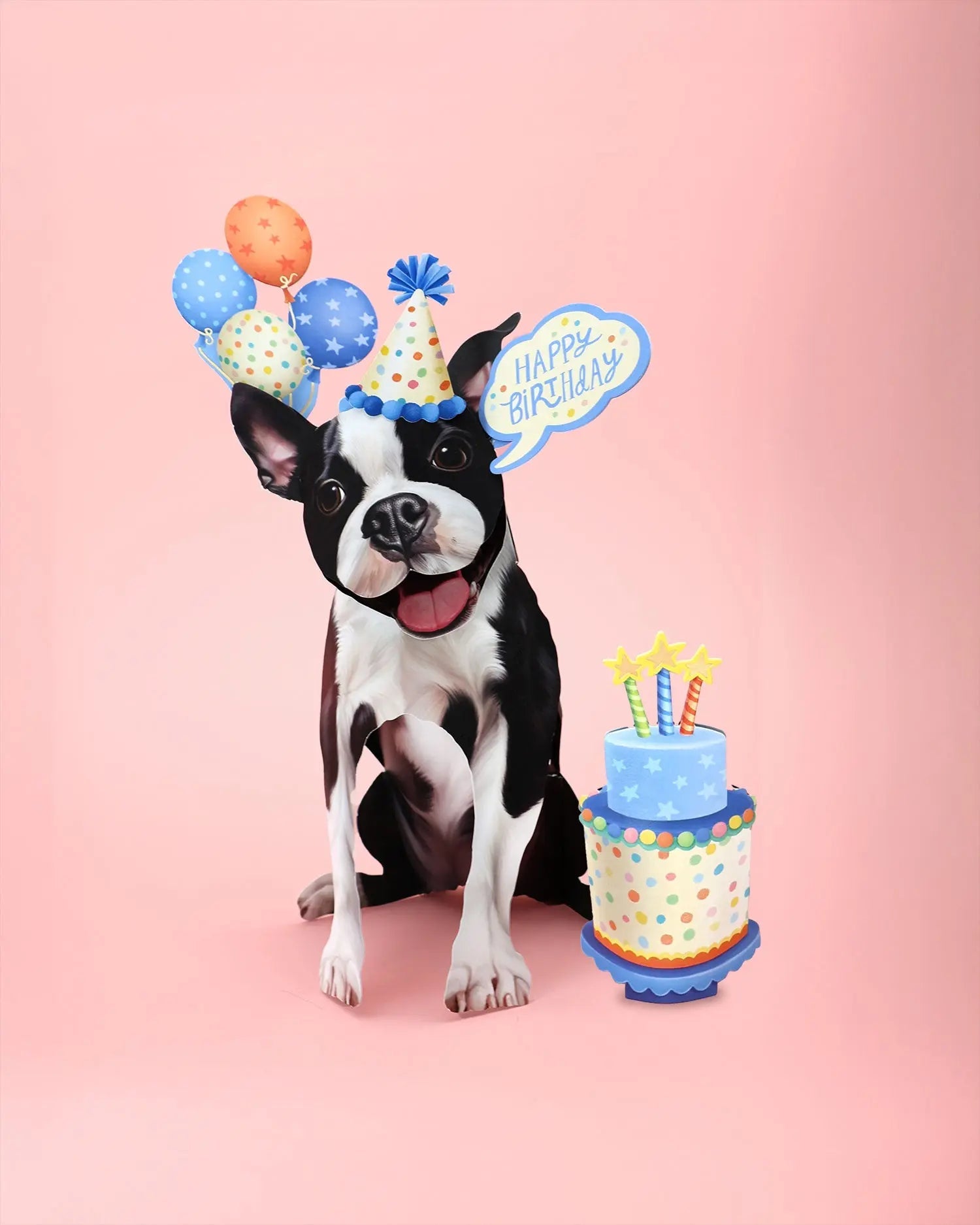 Birthday Boston Terrier Pop-Up Card