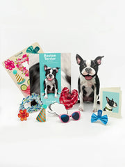 Boston Terrier Pop-Up Card