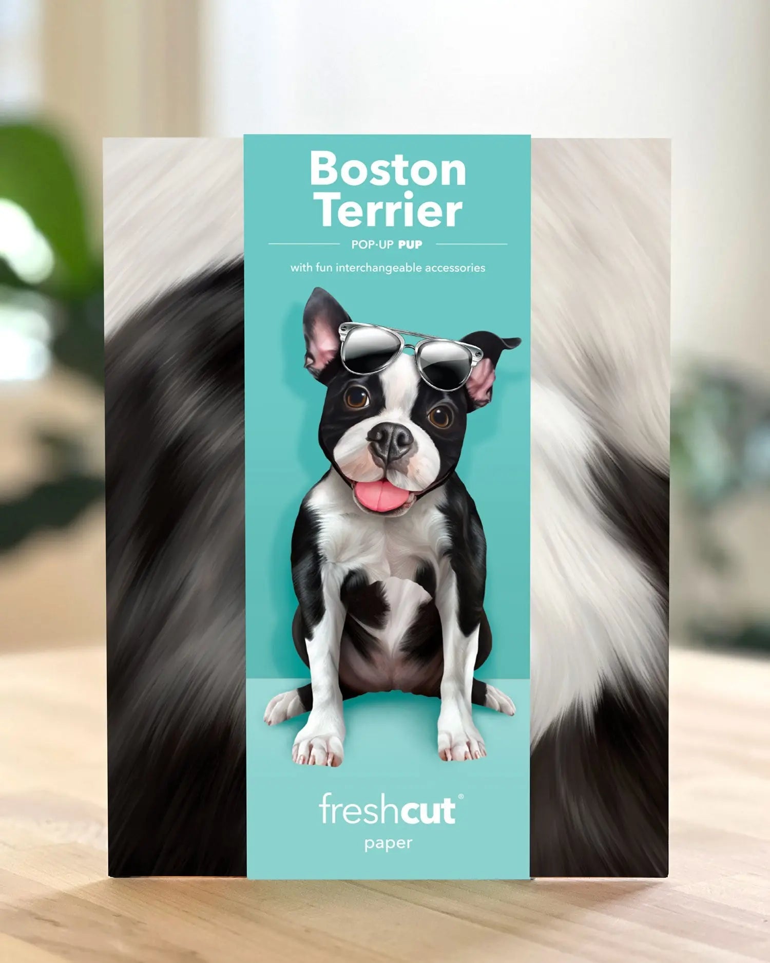 Boston Terrier Pop-Up Card