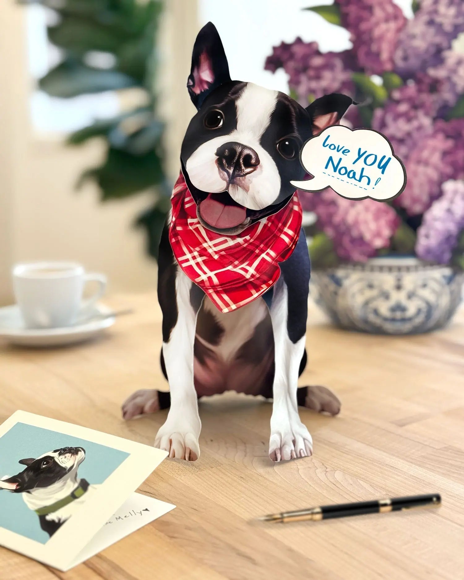 Boston Terrier Pop-Up Card