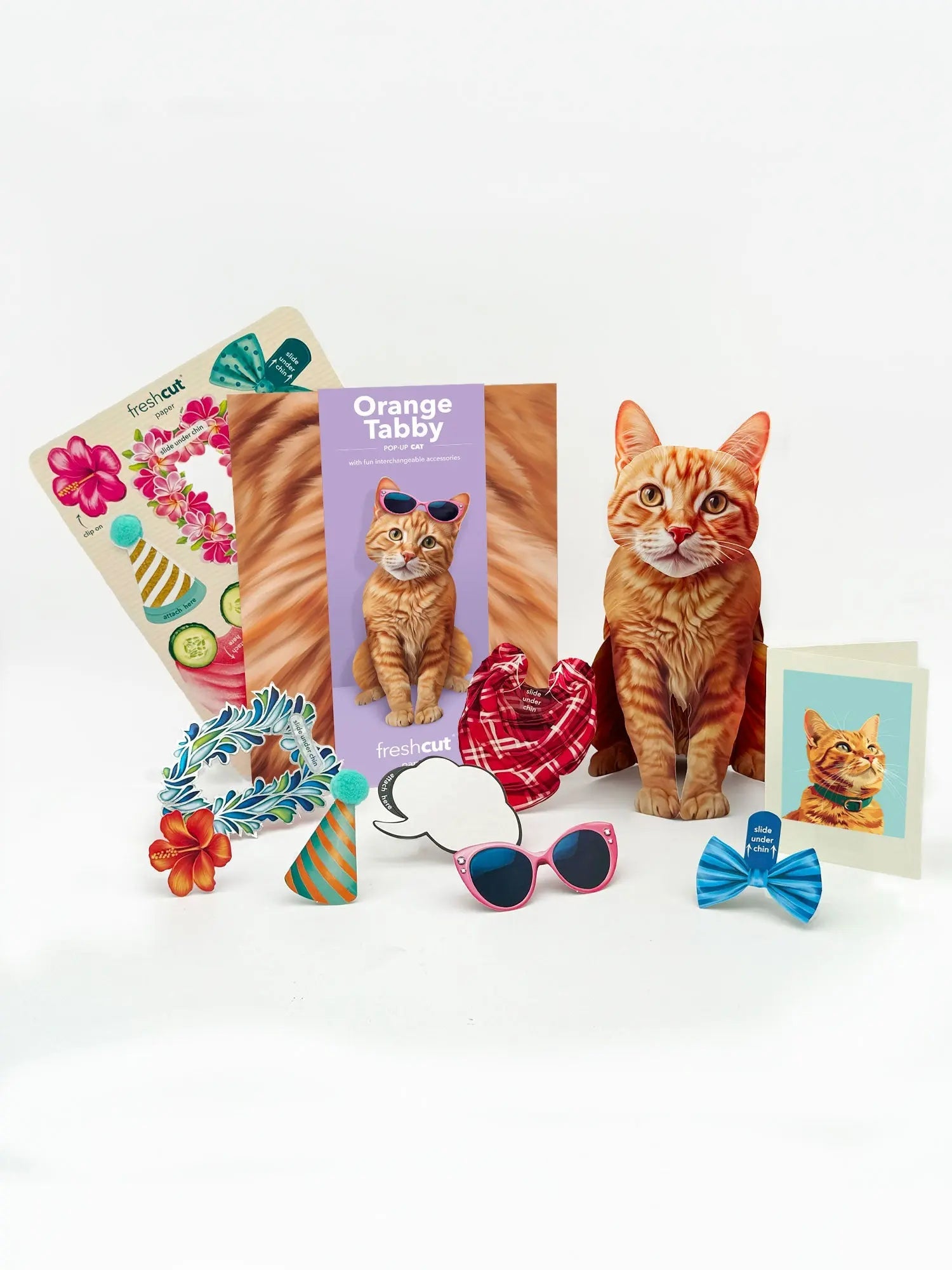 Orange Tabby Cat Pop-Up Card