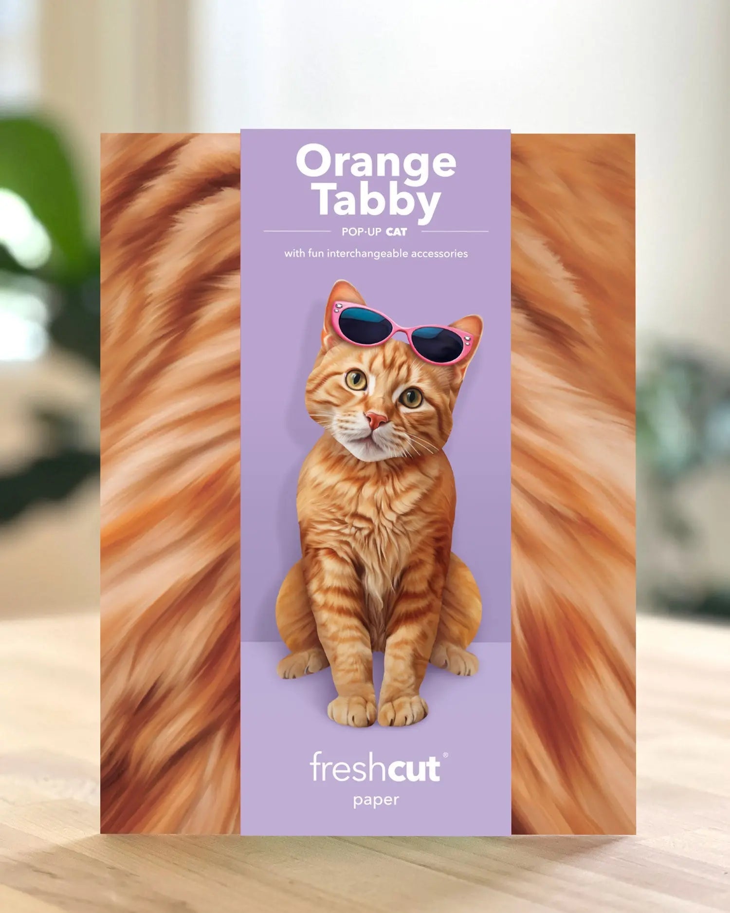 Orange Tabby Cat Pop-Up Card