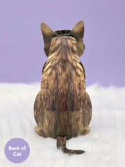 Brown Tabby Cat Pop-Up Card