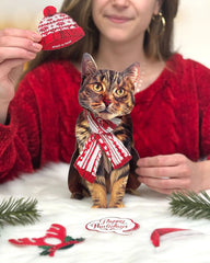 Holiday Brown Tabby Cat Pop-Up Card