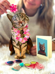 Brown Tabby Cat Pop-Up Card