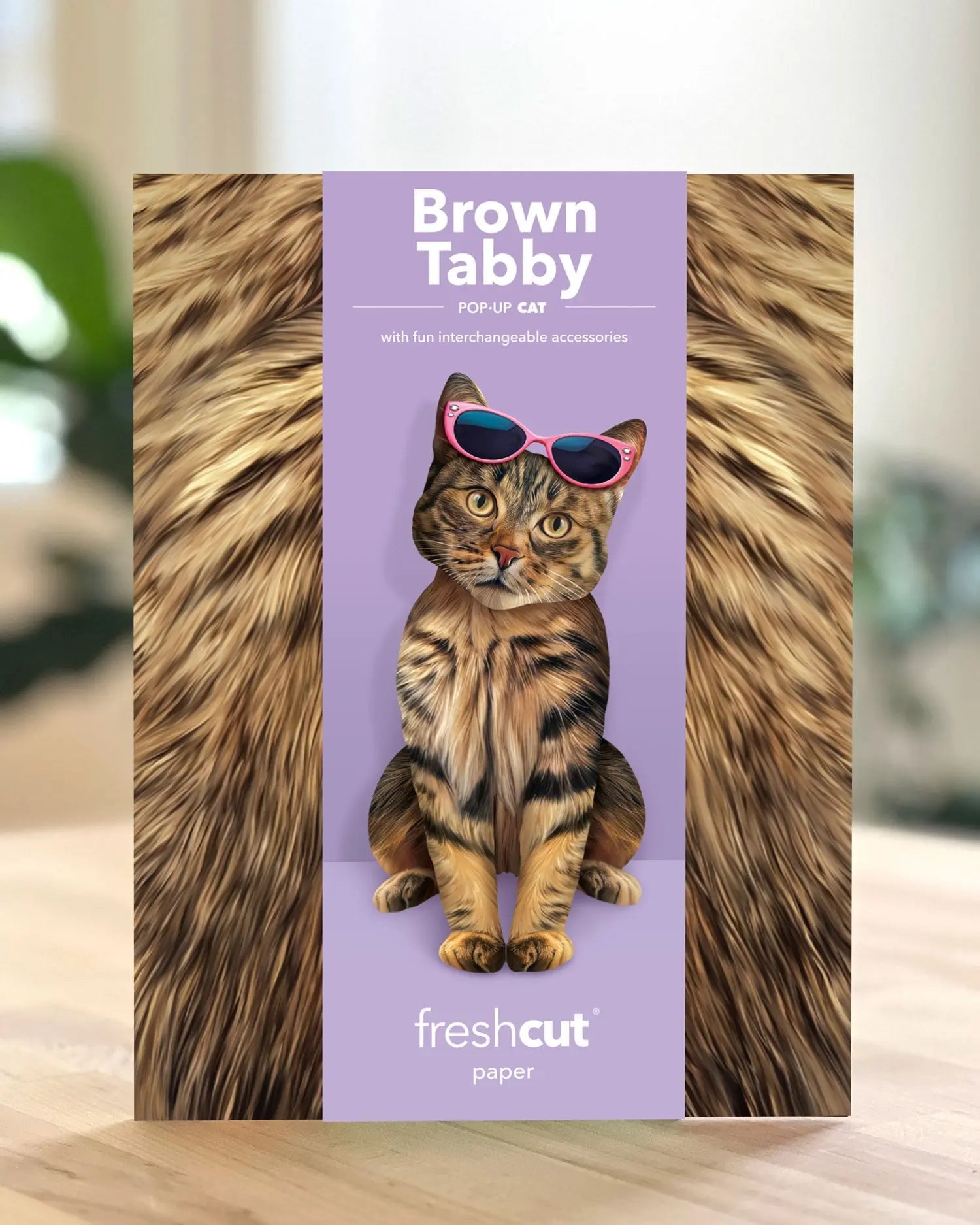 Brown Tabby Cat Pop-Up Card