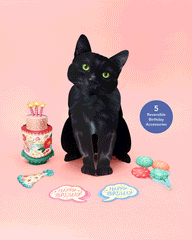 Birthday Black Cat Pop-Up Card