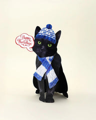 Holiday Black Cat Pop-Up Card