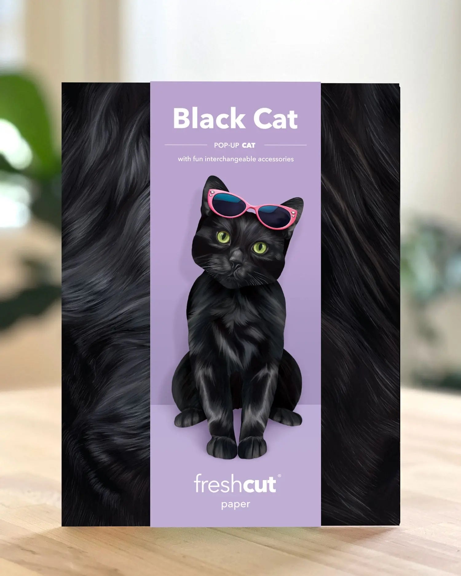 Black Cat Pop-Up Card