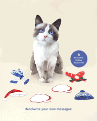 Holiday Ragdoll Cat Pop-Up Card