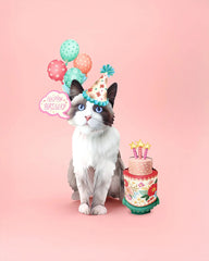 Birthday Ragdoll Cat Pop-Up Card