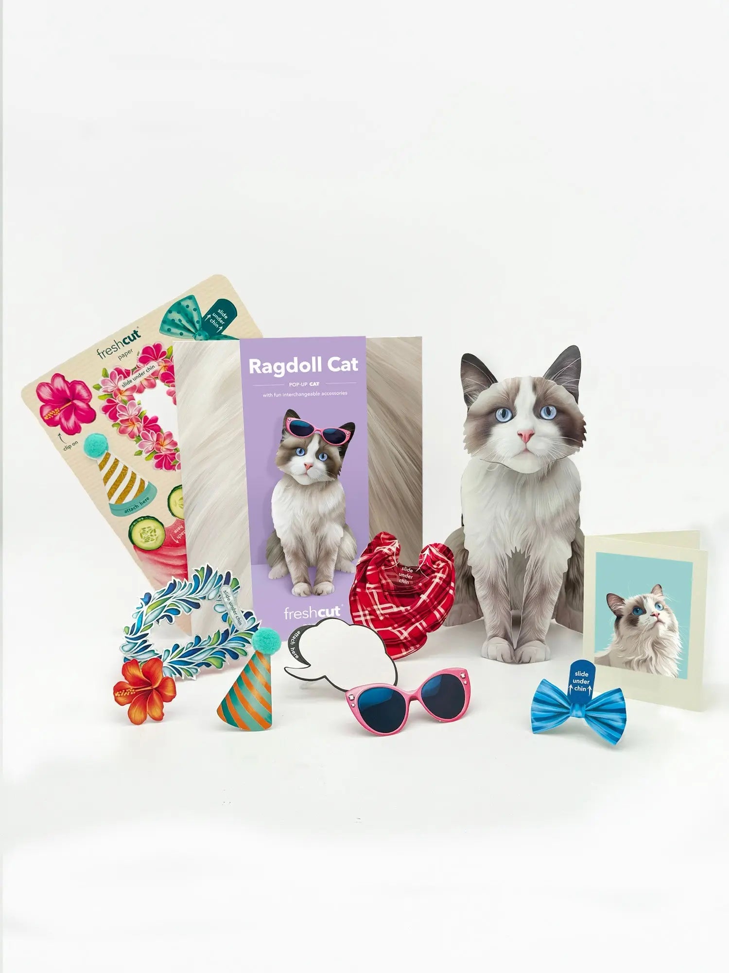 Ragdoll Cat Pop-Up Card