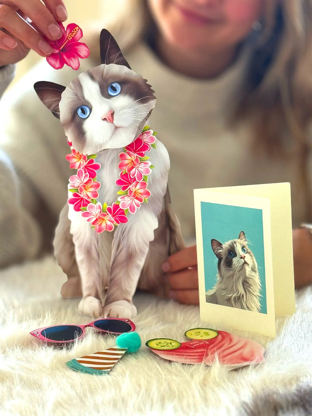 Ragdoll Cat Pop-Up Card