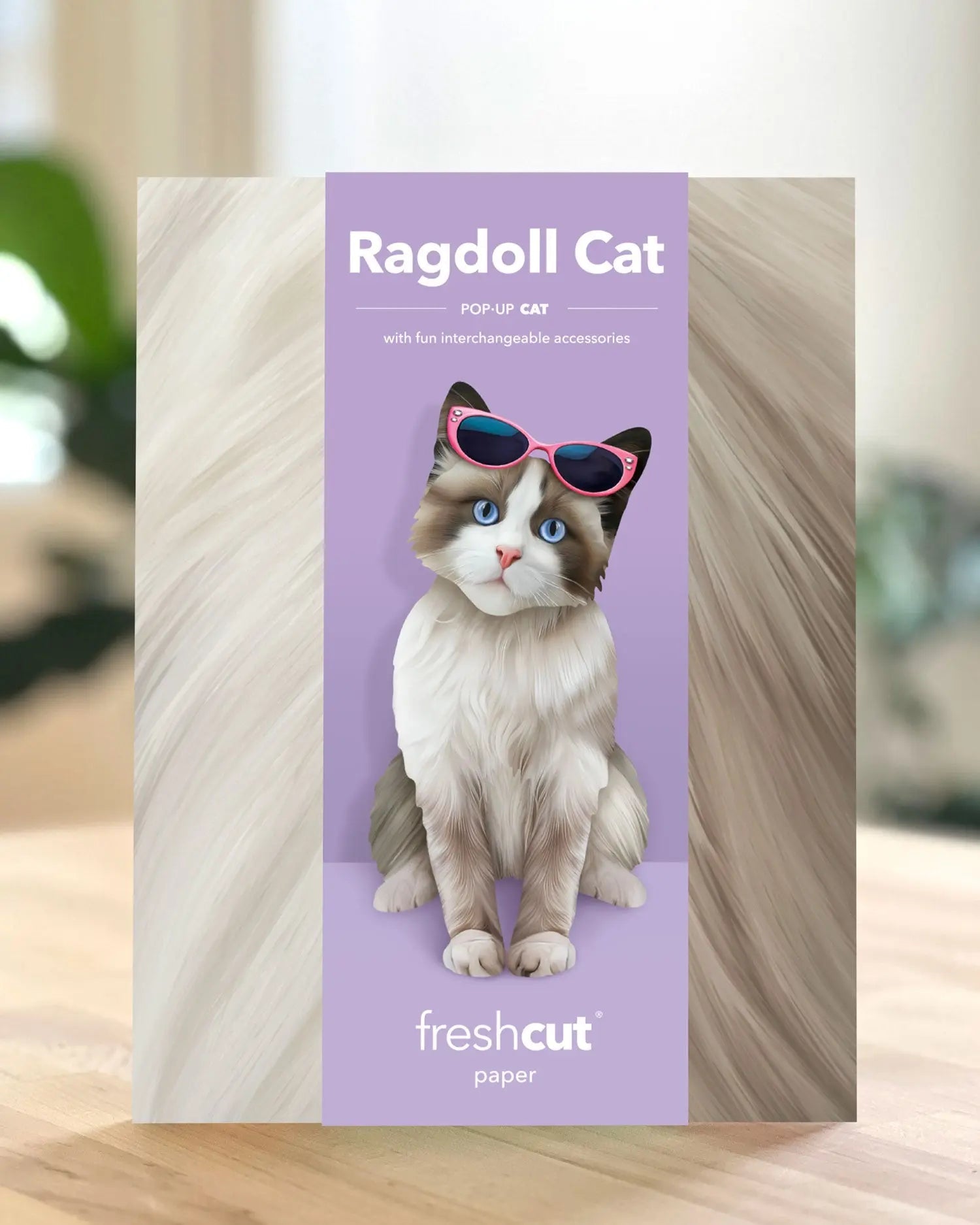 Ragdoll Cat Pop-Up Card