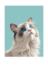 Ragdoll Cat Card