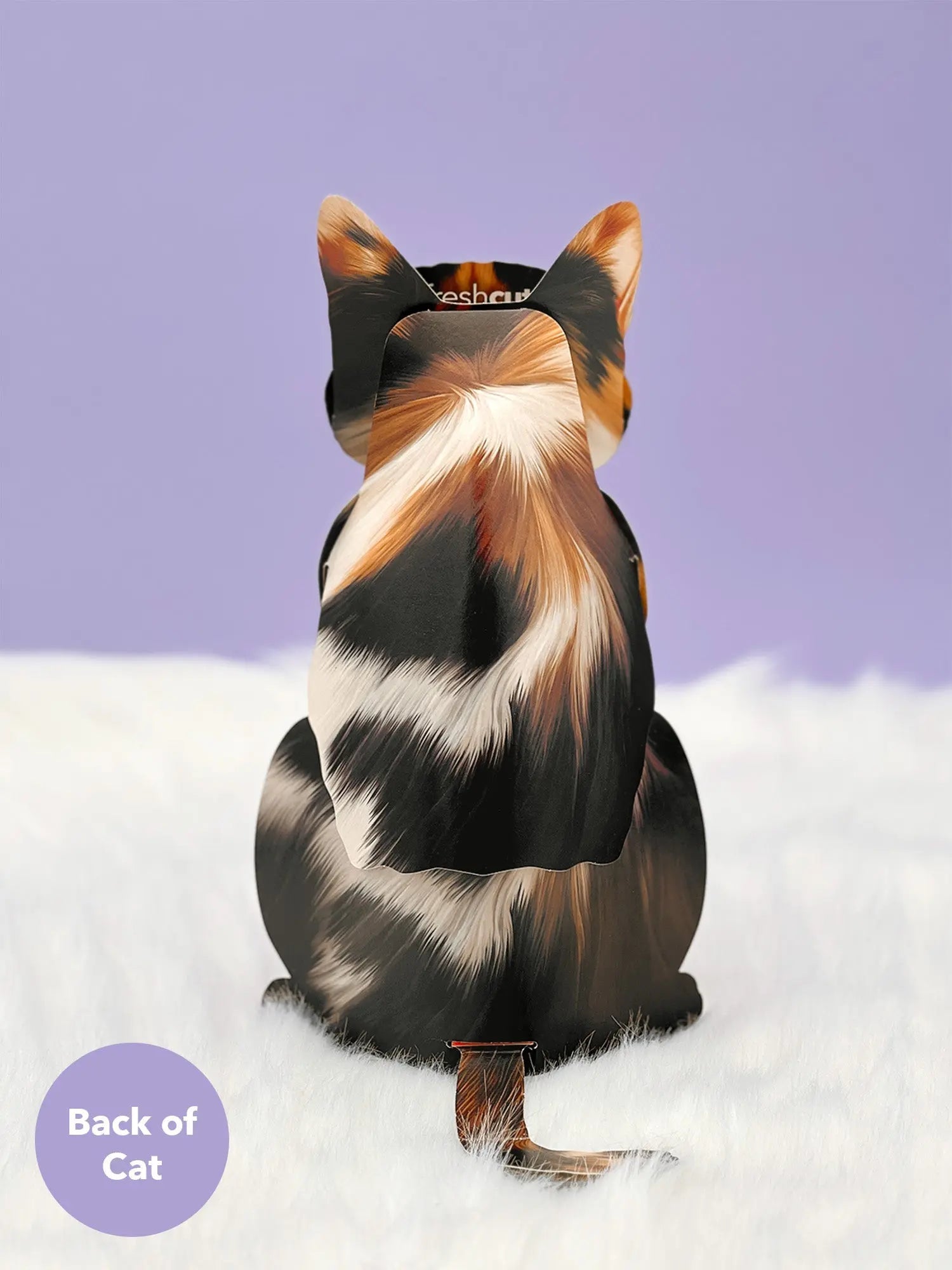 Calico Cat Pop-Up Card