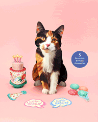 Birthday Calico Cat Pop-Up Card