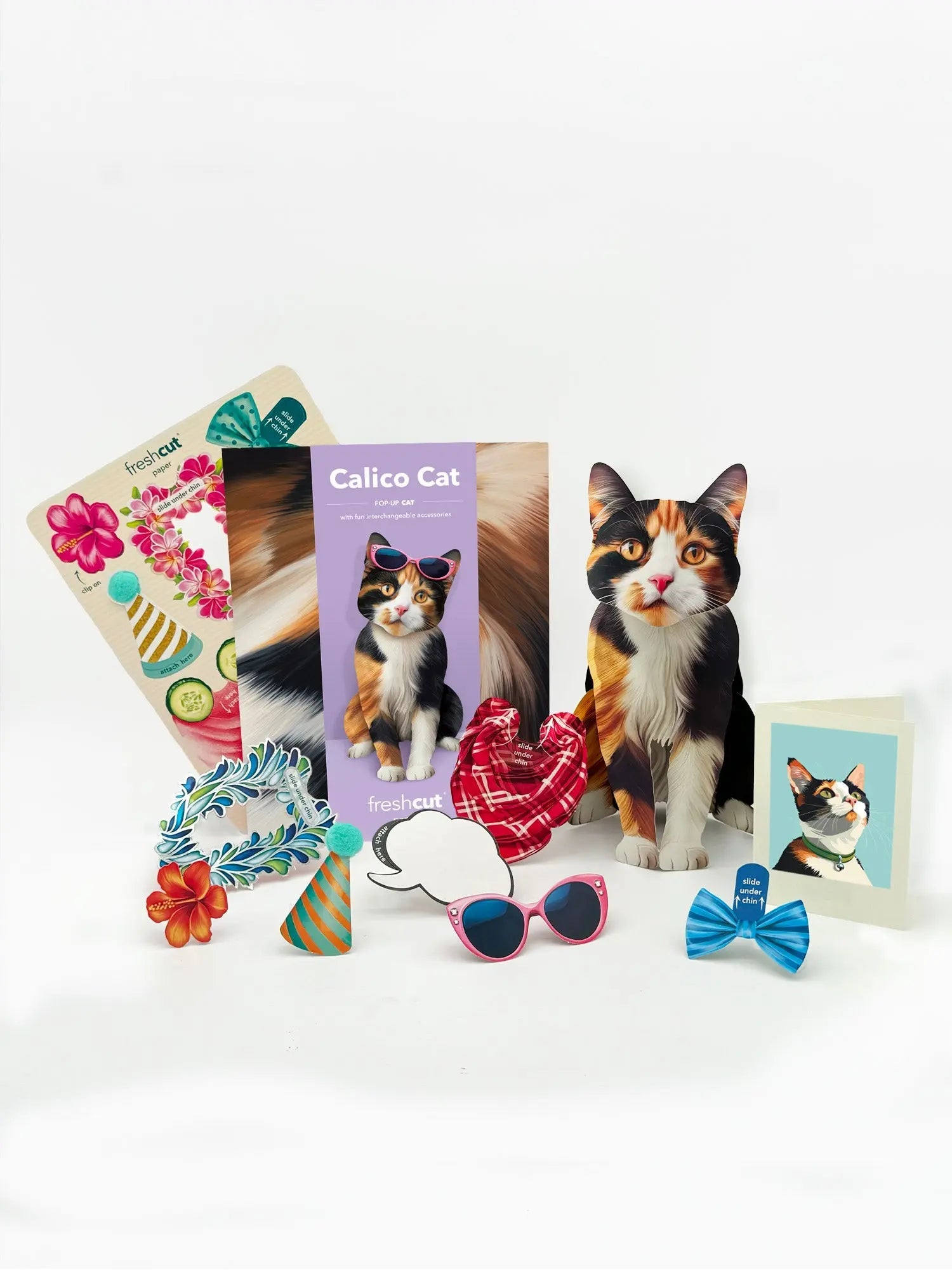 Calico Cat Pop-Up Card