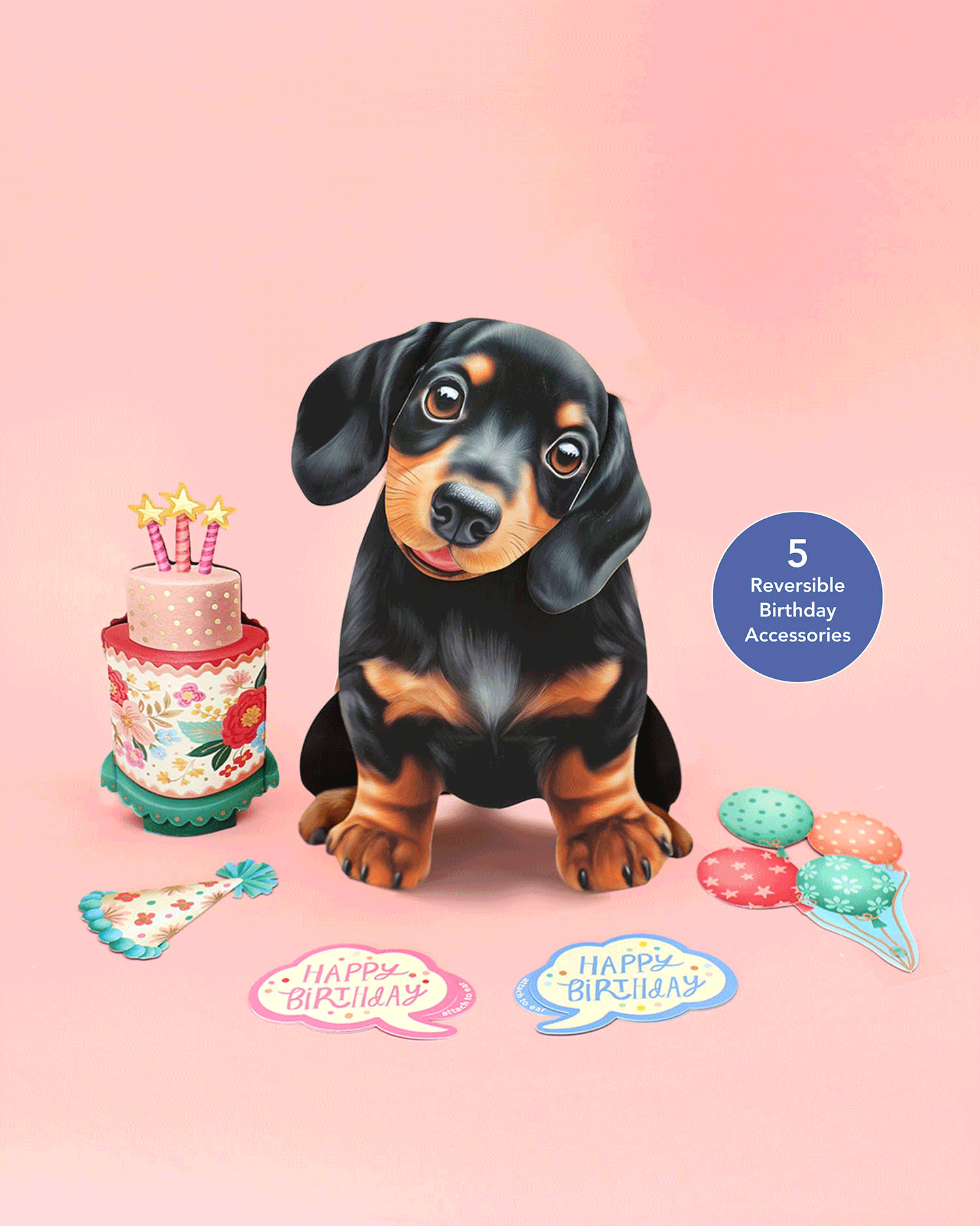 Birthday Dachshund Pop-Up Card