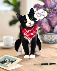 Tuxedo Cat Pop-Up Card