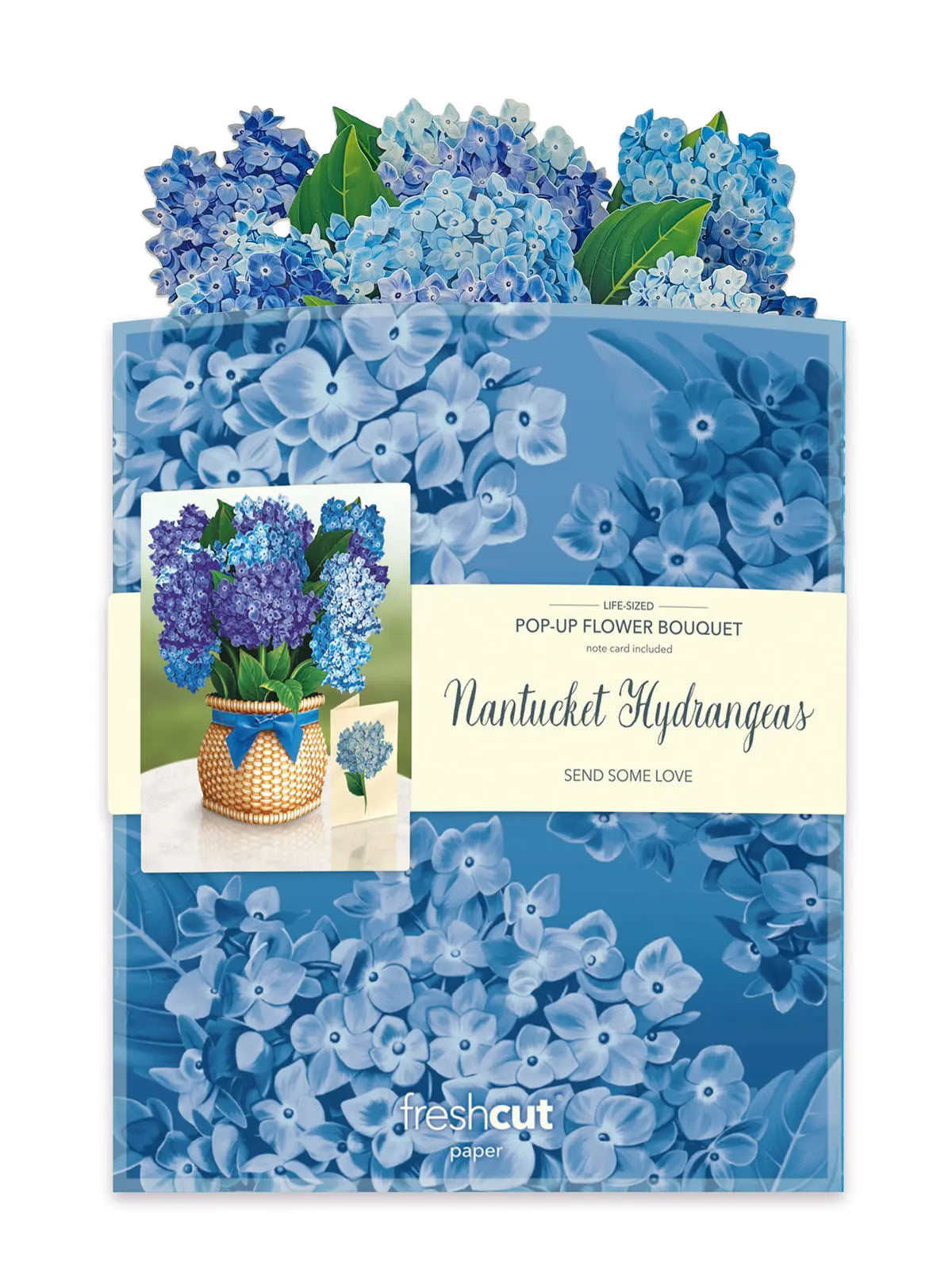 Nantucket Hydrangeas