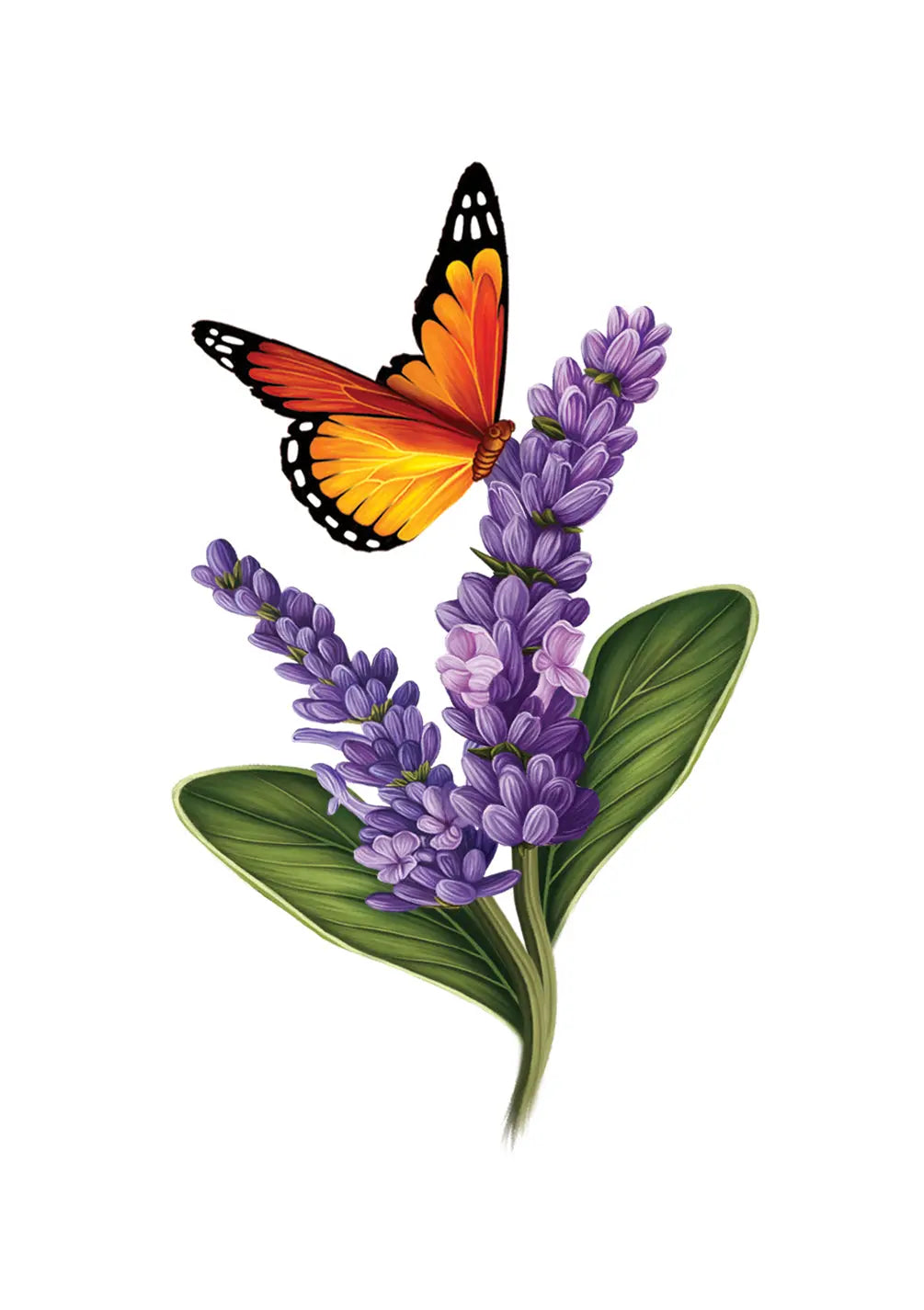 Lavender & Butterflies Card