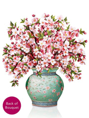 Japanese Cherry Blossoms