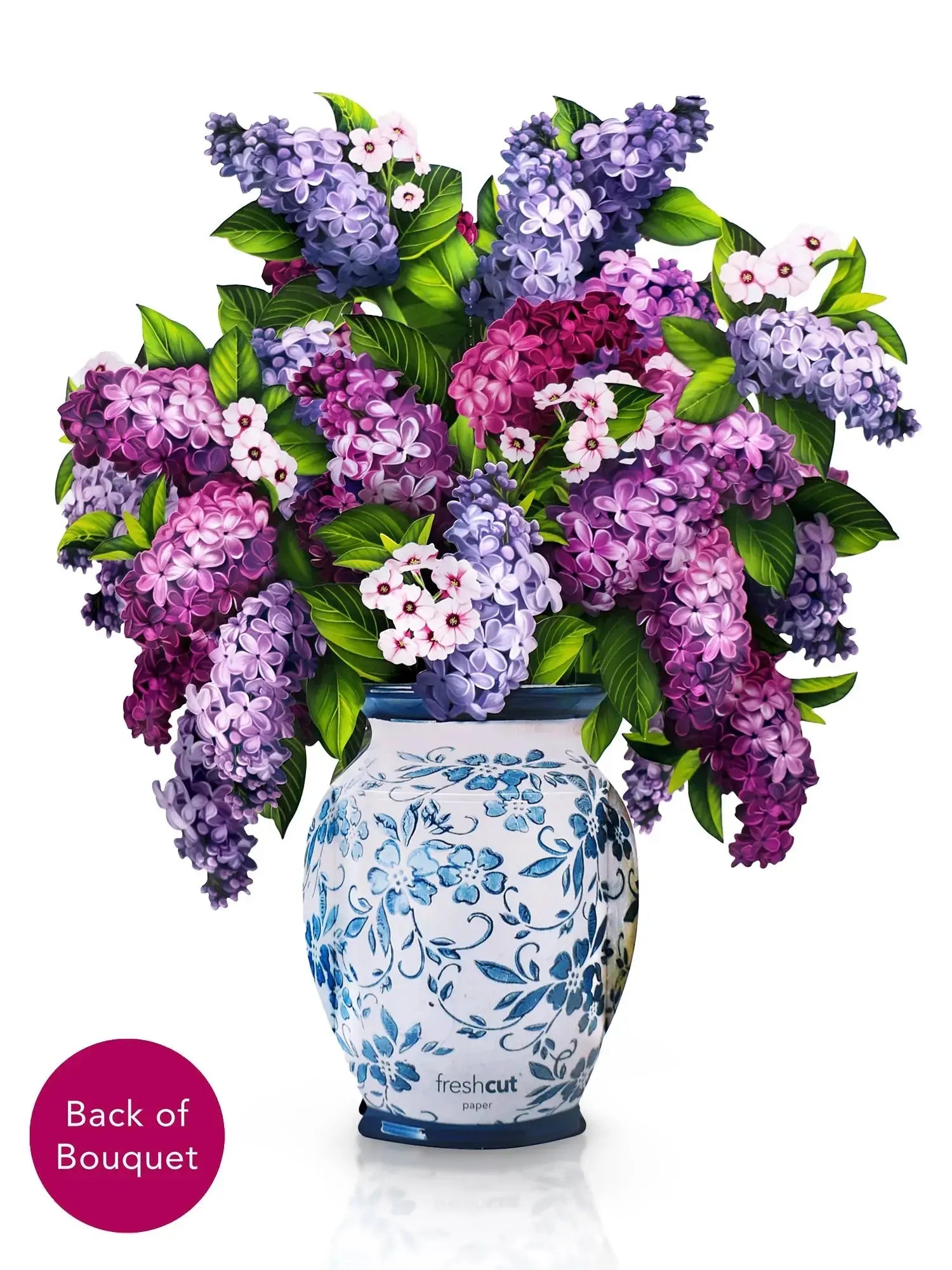 Grande Garden Lilacs
