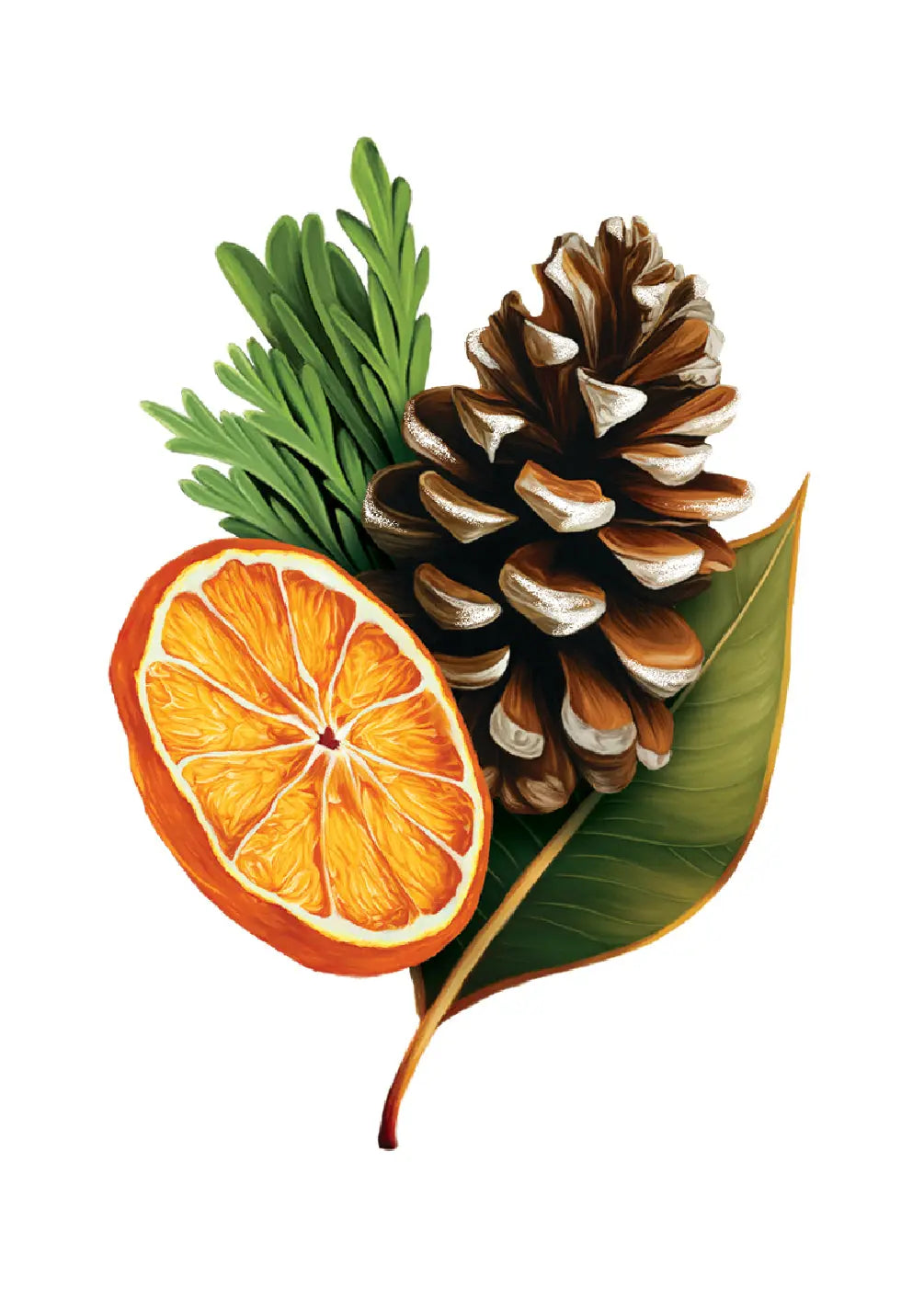 Winter Magnolia Card