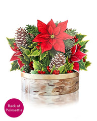 Birch Poinsettia