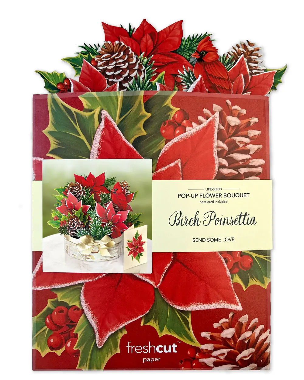 Birch Poinsettia