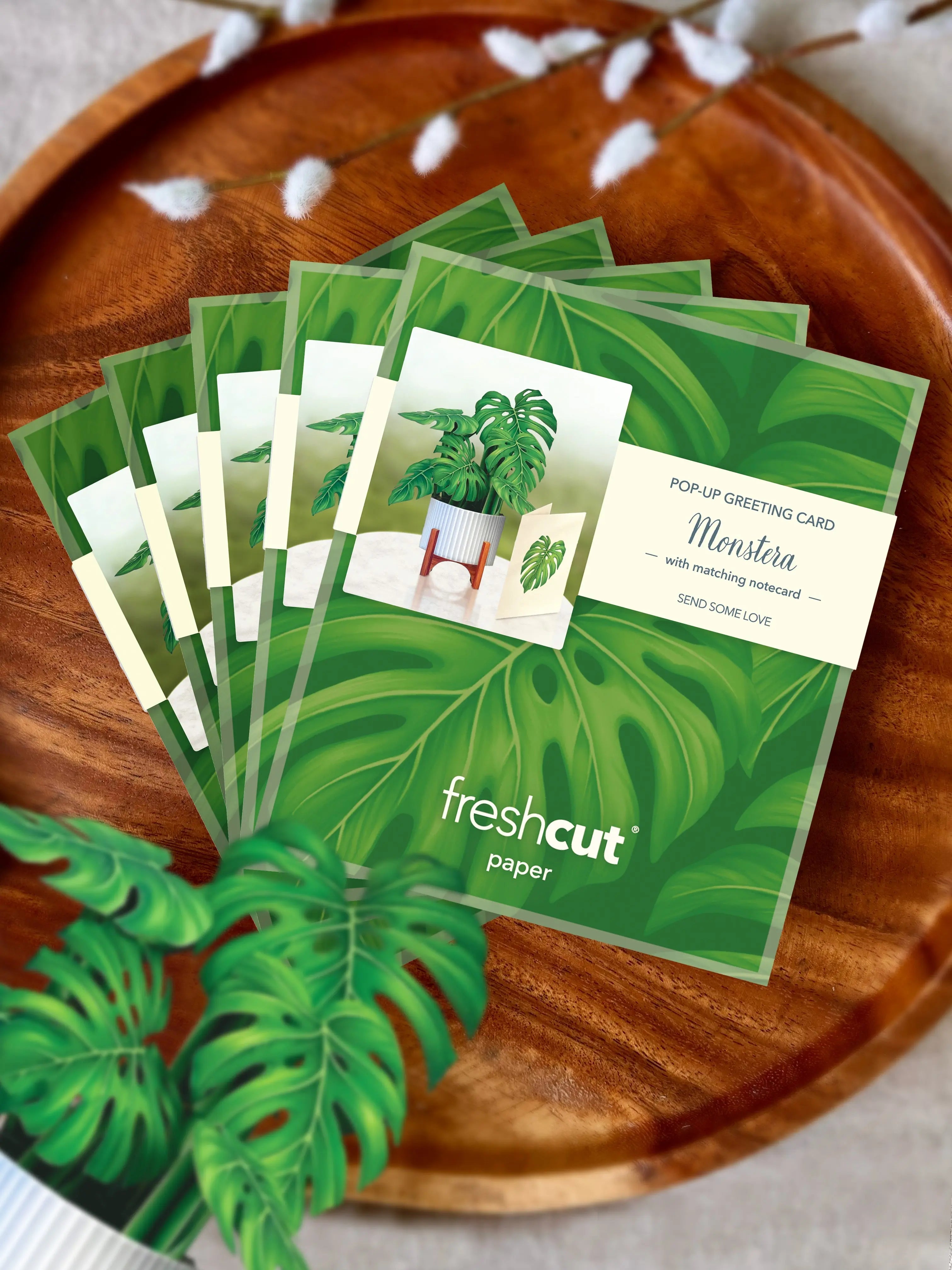 Mini Monstera Pop-Up Card