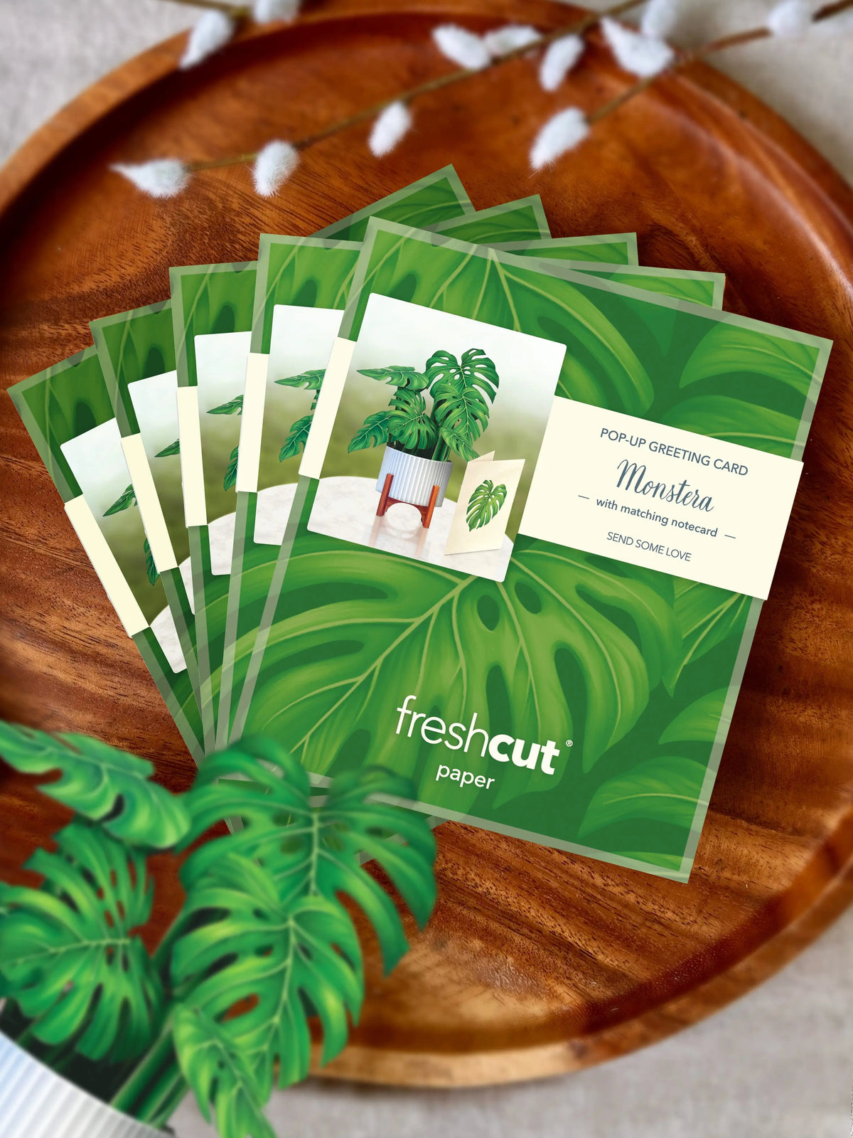 Mini Monstera Pop-Up Card